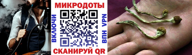 Псилоцибиновые грибы Cubensis  Ельня 